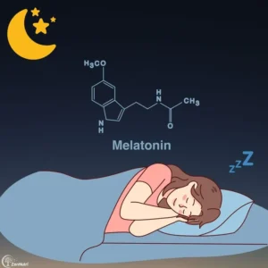 The Science of Sleep