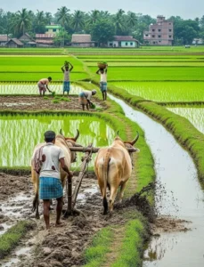 Village Life Reality