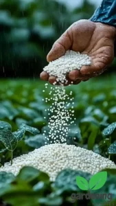 Village Youth Success