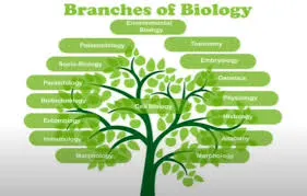 Branches of Biology 