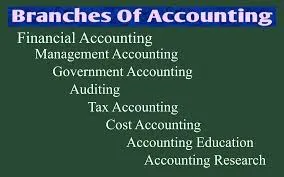 Branches of Accounts 