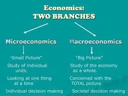 Branches of Economic 