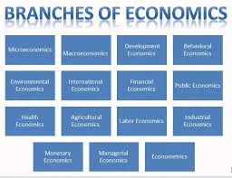 Branches of Economic