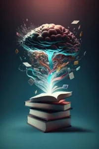 Branches of business studies 